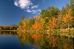 The Beauty of Autumn in Maine